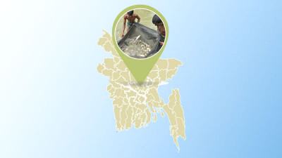 জলবায়ু পরিবর্তনের নেতিবাচক প্রভাব পড়ছে মাছের উৎপাদনে