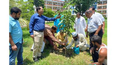 নারায়ণগঞ্জে বিআইডব্লিউটিএর বৃক্ষরোপণ কর্মসূচি