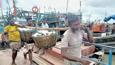 ইলিশে সয়লাব কক্সবাজারের ফিশারিঘাট, কমছে দাম