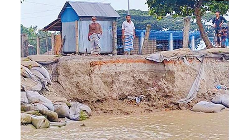 চাঁদপুরে ভাঙনে নিঃস্ব হচ্ছে তিন নদীতীরের মানুষ