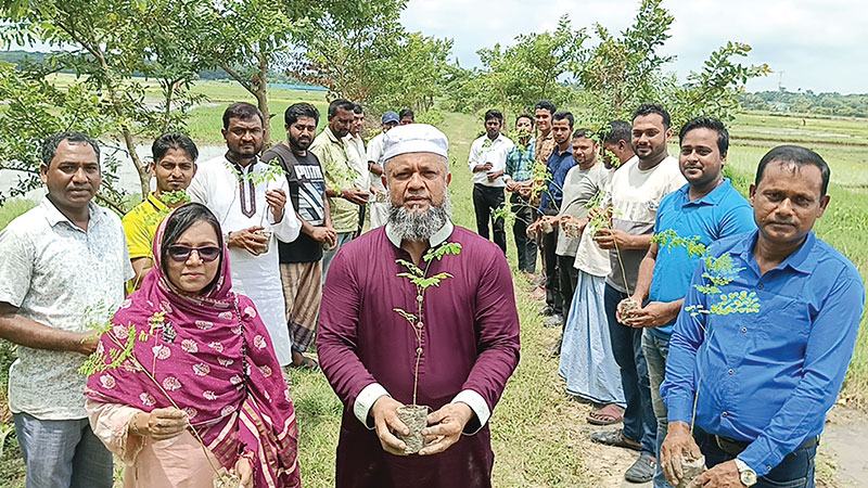 সড়কের পাশে ৩ হাজার শজনে চারা রোপণ