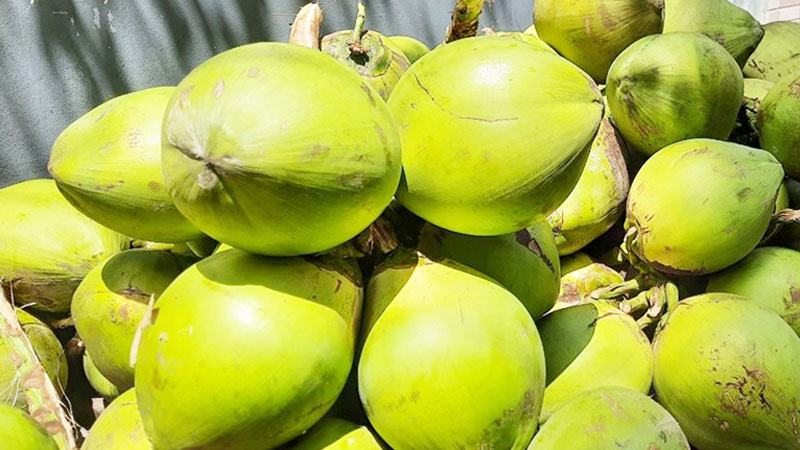 মেহেরপুরে ডাবের দাম নিয়ন্ত্রণে বাজারে অভিযান