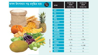 খাদ্যশস্য উৎপাদনে প্রবৃদ্ধির গতি ধারাবাহিকভাবে বাড়ছে না