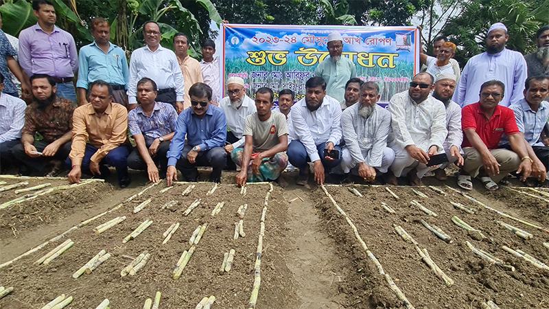  মিলগেটে চিনির দাম ১২০ টাকা প্রস্তাব