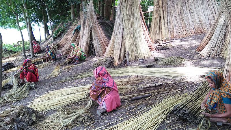 পাটের আঁশ ছাড়িয়ে ৪ কোটি টাকা আয়ের আশা