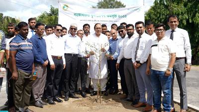 রাজশাহীতে লংকাবাংলা ফাউন্ডেশনের বৃক্ষরোপণ কর্মসূচি উদ্বোধন