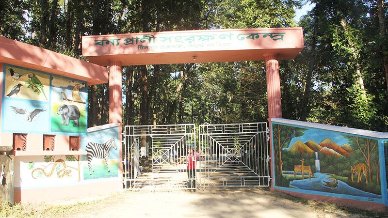 আয়তনের তুলনায় সাপ বেশি চলে আসছে লোকালয়ে