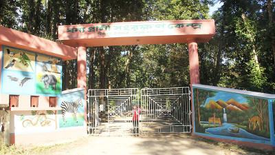 আয়তনের তুলনায় সাপ বেশি চলে আসছে লোকালয়ে