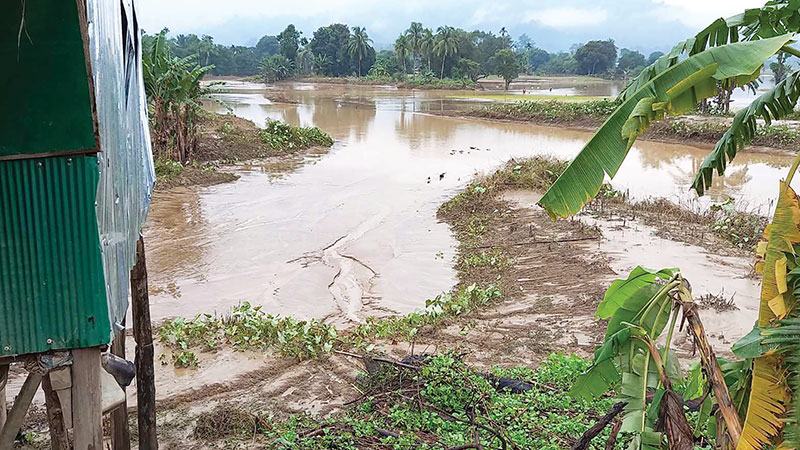 ৭১ হাজার কৃষকের মধ্যে প্রণোদনা পেয়েছেন ৩ হাজার