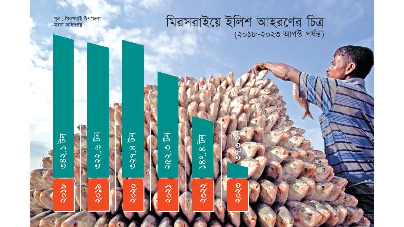মিরসরাইয়ে চার বছরে ইলিশ আহরণ কমেছে ১৯৯ টন