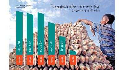 মিরসরাইয়ে চার বছরে ইলিশ আহরণ কমেছে ১৯৯ টন