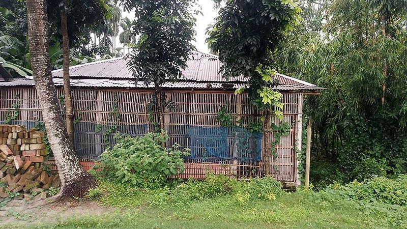 অব্যাহত লোকসানে রংপুরে কমছে পোলট্রি খামার