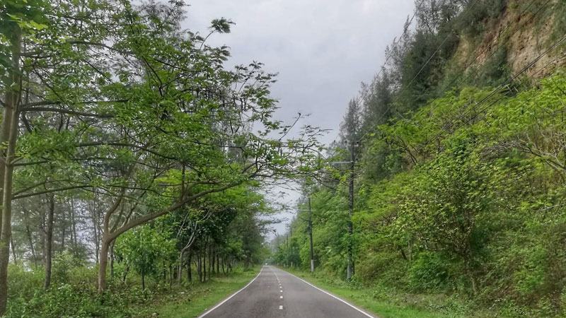 আরো কাটা পড়বে পাহাড় বন, ক্ষতি হবে প্রাণবৈচিত্র্যে