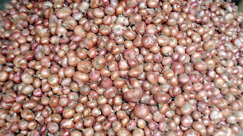 হিলি স্থলবন্দরে আবারো বাড়ল পেঁয়াজের দাম