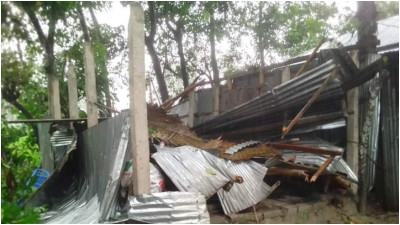 গাইবান্ধায় হঠাৎ ঝড়ে গাছপালা ও ঘরবাড়ি লণ্ডভণ্ড