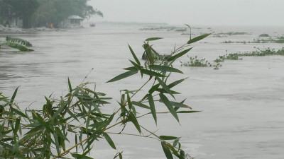 তিস্তার পানি বিপদসীমার ৩ সেন্টিমিটার ওপরে