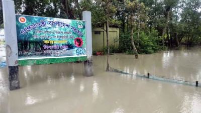 জোয়ারে প্লাবিত করমজল বন্যপ্রাণী প্রজনন কেন্দ্র