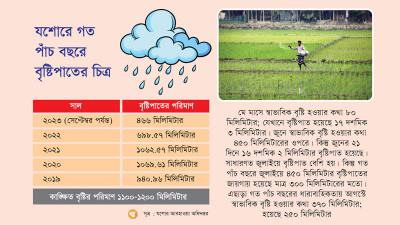 যশোরে কমেছে বৃষ্টিপাত আমন চাষে ব্যয় বেড়েছে