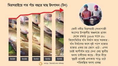 মিরসরাইয়ে পাঁচ বছরে মাছের উৎপাদন বেড়েছে আট হাজার টন
