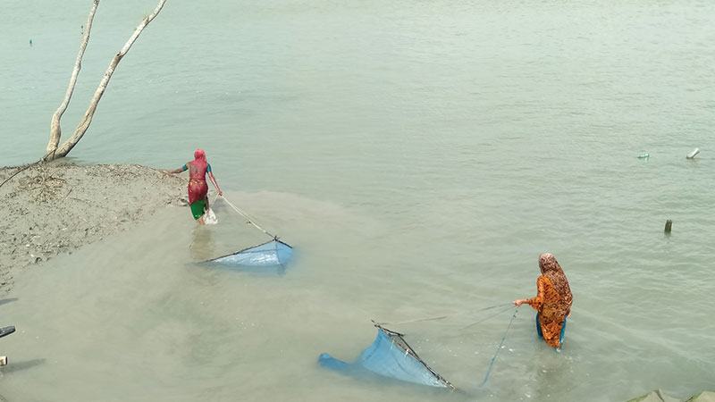 ঝুঁকি জেনেও নোনাজলে জীবিকার সন্ধানে নারীরা