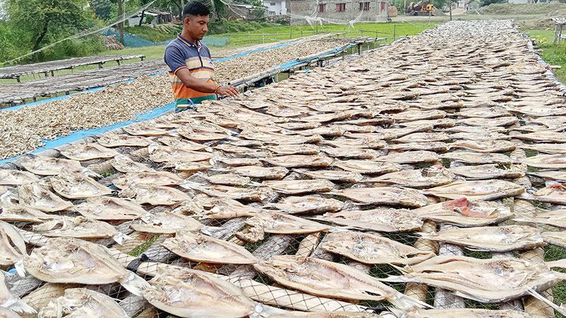 সাতক্ষীরার মিঠাপানির শুঁটকি রফতানি হচ্ছে ভারতে