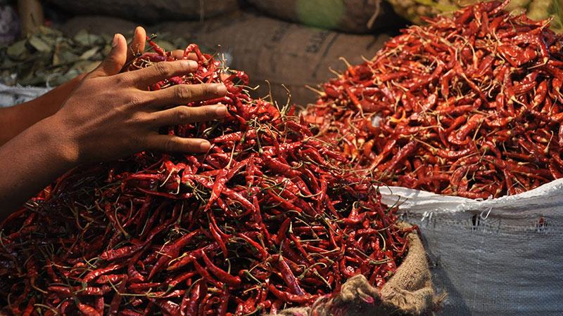 ভোমরা দিয়ে শুকনা মরিচ আমদানি ৯ হাজার টন বেড়েছে