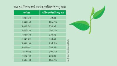 উৎপাদন খরচ বৃদ্ধিতে নাজুক চা বাগান মালিকরা