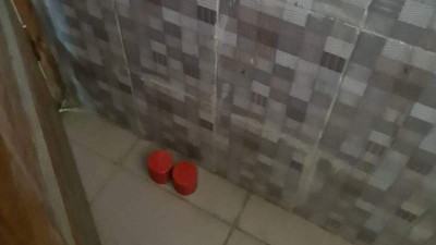 ঢাকা বিশ্ববিদ্যালয়ে ককটেল সদৃশ বস্তু উদ্ধার