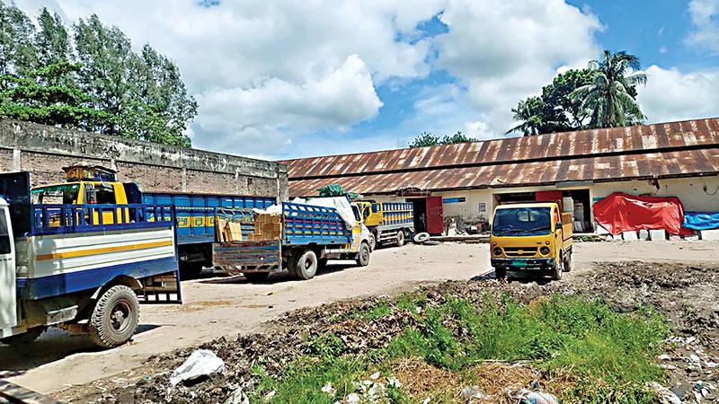 প্রয়োজনীয় সনদ ছাড়াই সরবরাহ হচ্ছে বরিশাল অঞ্চলের মাছ