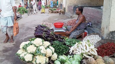 গাইবান্ধায় শীতকালীন সবজির দাম কমেছে