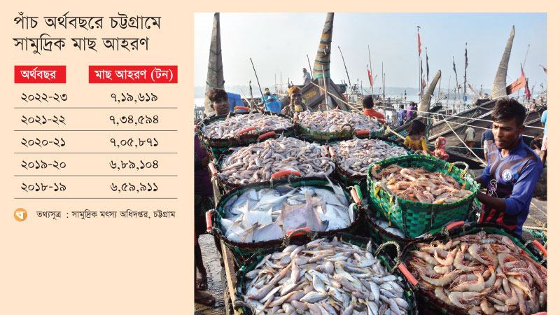 চট্টগ্রামে সামুদ্রিক মাছ আহরণ কমেছে