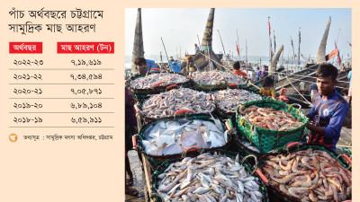 চট্টগ্রামে সামুদ্রিক মাছ আহরণ কমেছে