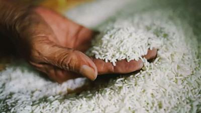 সাতক্ষীরায় আড়াই লাখ টন চাল উৎপাদন লক্ষ্যমাত্রা