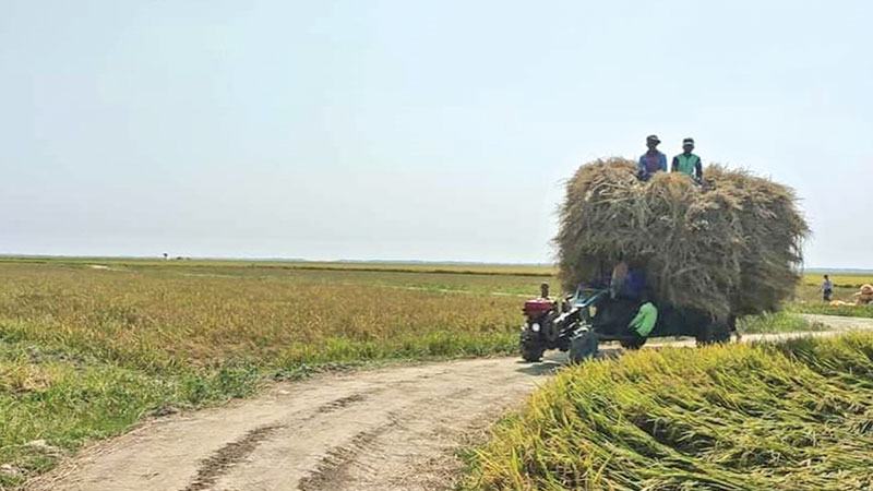 আরো ৭৯ হাজার কিমি গ্রামীণ সড়কের মালিকানা চায় এলজিইডি