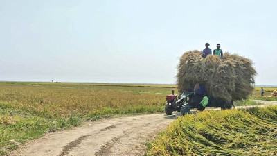 আরো ৭৯ হাজার কিমি গ্রামীণ সড়কের মালিকানা চায় এলজিইডি