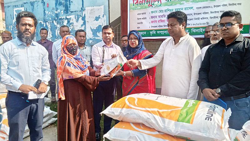 ঝিনাইদহে বিনামূল্যে বীজ পেলেন তিন সহস্রাধিক কৃষক