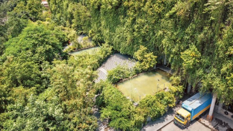 সবুজে ঘেরা এক নান্দনিক কারখানা