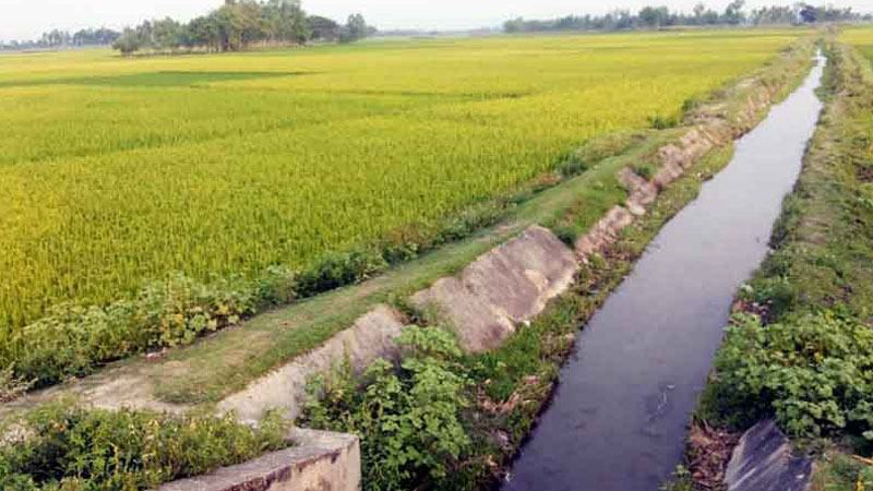 বরিশালের কৃষিতে বড় ভূমিকা রাখছে ক্ষুদ্রাকার সেচ প্রকল্প