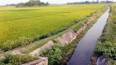 বরিশালের কৃষিতে বড় ভূমিকা রাখছে ক্ষুদ্রাকার সেচ প্রকল্প