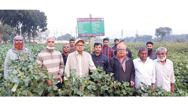 চুয়াডাঙ্গায় তুলাচাষীদের নিয়ে মাঠ দিবস