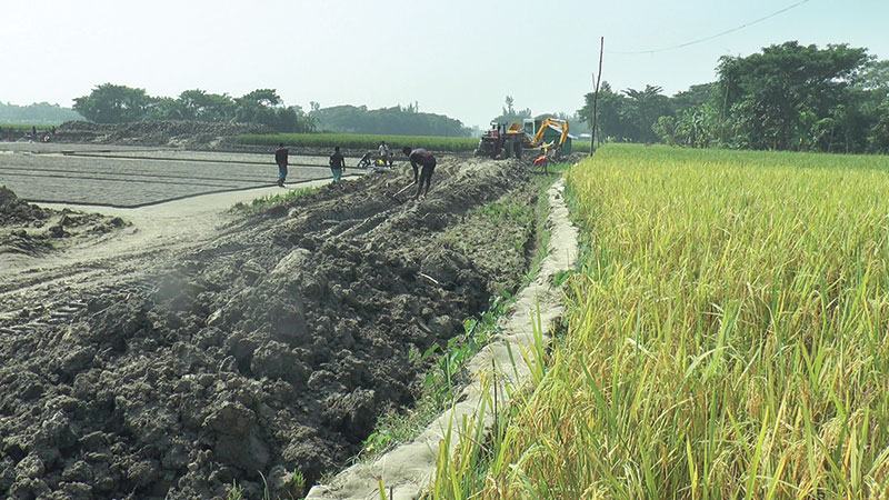 নোয়াখালীর সুবর্ণচরে কৃষিজমিতে স্থাপন করা হচ্ছে ইটভাটা