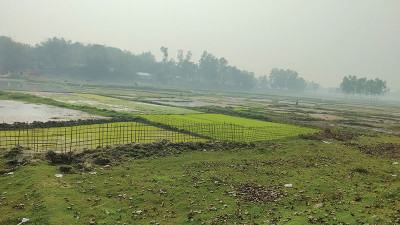 রংপুর অঞ্চলে বীজতলা নিয়ে শঙ্কিত কৃষক