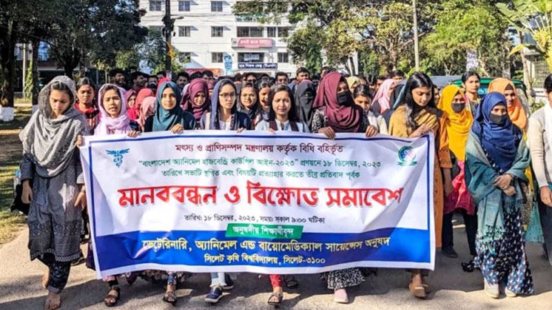 সিকৃবির ভেটেরিনারি অনুষদে ক্লাস পরীক্ষা বর্জন
