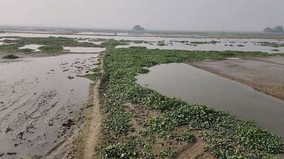 ব্রাহ্মণবাড়িয়ায় বিল ইজারায় অনিয়মের অভিযোগ