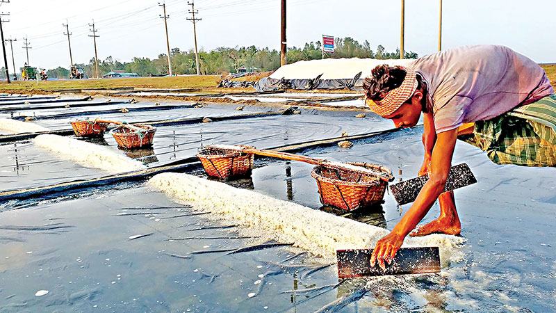 মৌসুমেও ঊর্ধ্বমুখী লবণের বাজার