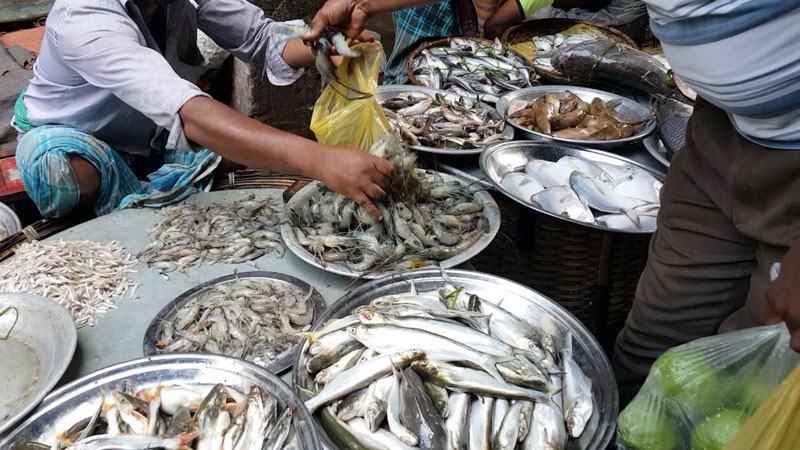 বরিশাল আড়তে সপ্তাহজুড়ে মাছ সরবরাহ কমেছে