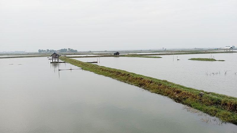 সাতক্ষীরায় চাষযোগ্য জমি কমেছে ৬০ হাজার হেক্টর