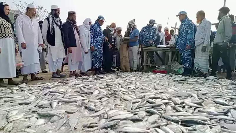 মুন্সিগঞ্জে ২০০০ কেজি জাটকা জব্দ