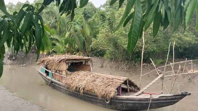 গোলপাতা সংগ্রহে বনে ফিরছেন বাওয়ালিরা