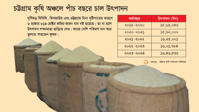 বছরের ব্যবধানে আমন উৎপাদন বেড়েছে ৪৪ হাজার ৭৩৮ টন
